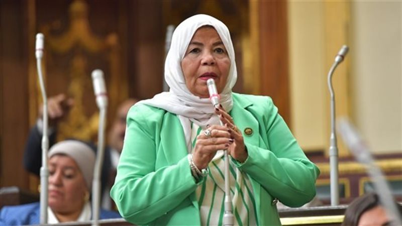 النائبة شادية خضير