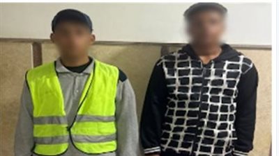  «كنا بنهزر».. اعترافات صادمة تكشف حقيقة فيديو الاعتداء على كلب بمطروح