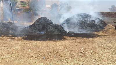 مصرع تلميذ إثر حريق نشب داخل منزل في قرية دير النواهض بقنا