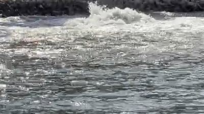 كسر خط غاز بمنطقة بحر مويس بـ بنها.. وتدخل عاجل من الأجهزة المعنية 