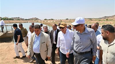 وزير الري يواصل جولته بمحافظة أسوان.. ويتفقد المفرخ السمكي بمنطقة الشلال