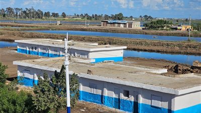 حماية البحيرات يعلن إنجازًا نوعيًا في تطوير المزارع السمكية بكفر الشيخ