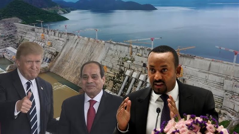 الرئيس السيسي وترامب