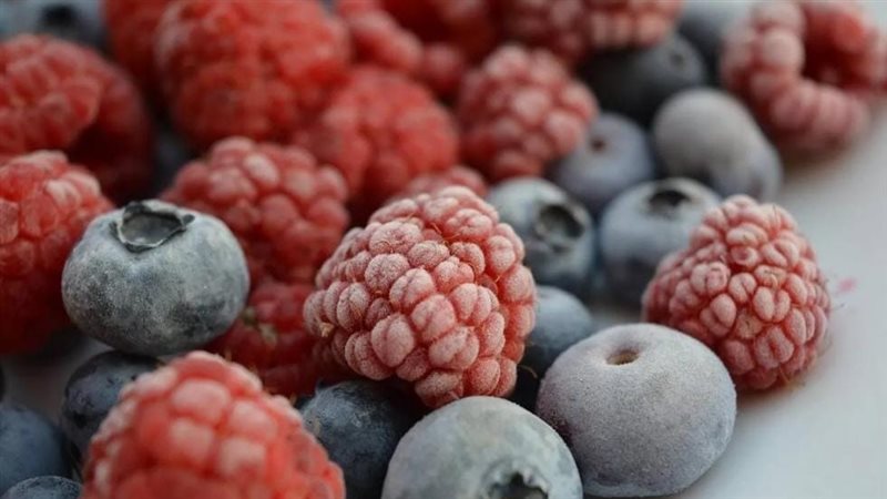 منتجات مجمده 