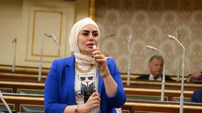 النائبة رحاب موسى