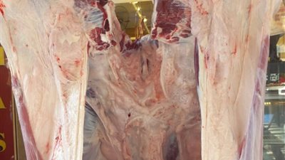 ضبط 454 كيلو مصنعات اللحوم الغير صالحة وجاموسة مذبحوة خارج المجزر بالسويس