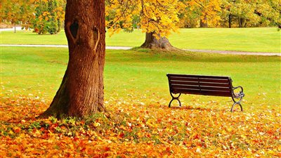 في أول أيام الخريف.. استقرار الأحوال الجوية وعودة الحرارة لمعدلاتها الطبيعية