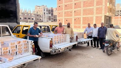 ضبط 6 آلاف علبة جبنة منتهية الصلاحية بمخزن غير مرخص في الأقصر 