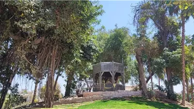 التنسيق الحضاري: تطوير حديقة الأزبكية جزء من مشروع إحياء القاهرة الخديوية 