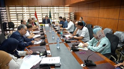 نائب محافظ الدقهلية يترأس اجتماع الامانه الفنية لمجلس إدارة المنطقة الصناعية 