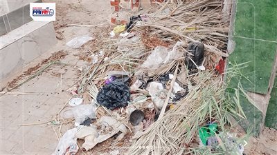 مأوى للكلاب الضالة.. مطالب بتحسين أوضاع مقابر عمرو بن العاص في دمياط (صور)