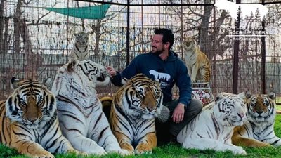 حادث مأسوي.. مدرب نمور يتعرض لهجوم قاتل في محمية أوكلاهوما