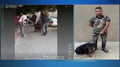 الشرطة تكشف ملابسات فيديو متداول يظهر إطلاق كلب لمهاجمة كلب ضال بالجيزة