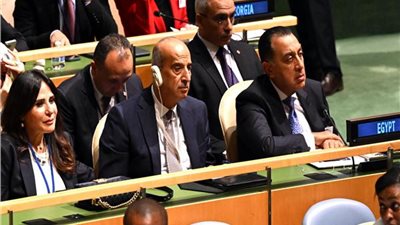 مدبولي: استقرار الشرق الأوسط مرهون بحل عادل يضمن دولة فلسطينية مستقلة