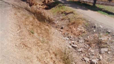 مزارعو قها: 1000 فدان مهددة بالبوار بسبب جفاف الترع.. ونطالب بتدخل عاجل