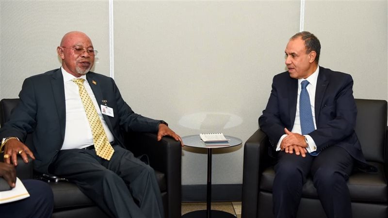 وزيرا خارجية مصر