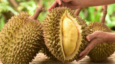 أغلى وأغرب أنواع الفواكه فى العالم.. من الكمثرى البوذية وسيكاي انشئ ابل