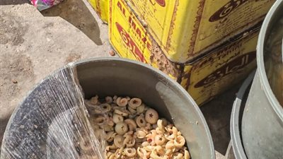 ضبط أكثر من 3 أطنان أغذية فاسدة ومجهولة المصدر بدمياط الجديدة