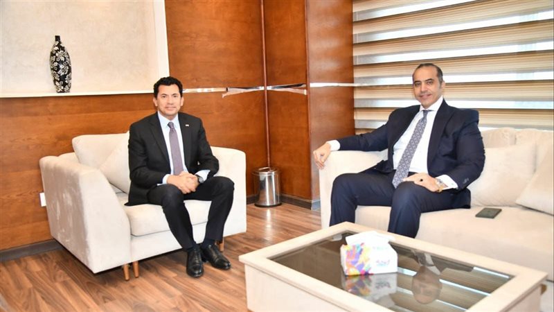 المستشار محمود فوزي