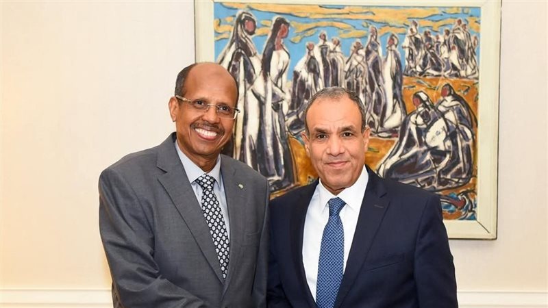 وزير الخارجية يلتقي