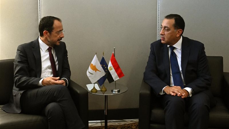 مدبولي يبحث مع الرئيس