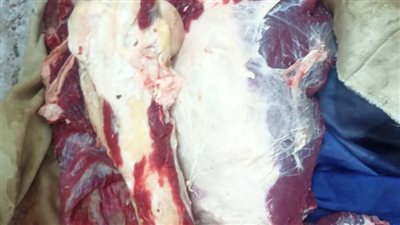 ضبط لحوم مذبوحة خارج المجازر وتحرير 343 محضرًا متنوعًا خلال حملة بأسيوط