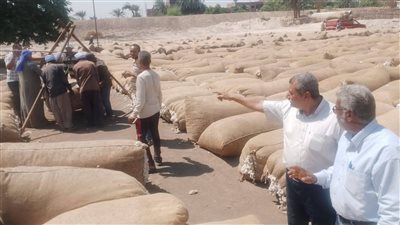 محافظ أسيوط: منظومة تسويق القطن وتقديم التسهيلات للمزارعين لضمان عائد عادل 