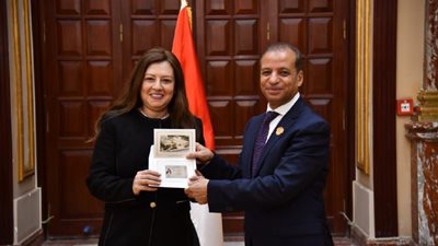 عضو مجلس الشيوخ: تشريعات المرحلة المقبلة ستواكب توجهات الدولة في بناء الإنسان 