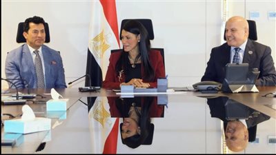 رئيس النيابة الإدارية يلتقي وزيري التخطيط والشباب لتعزيز التصويت الإلكتروني