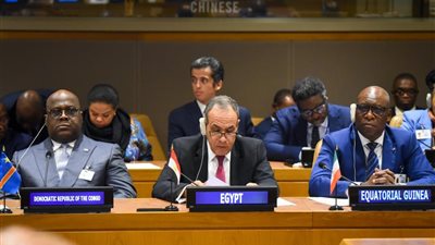 وزير الخارجية يشارك في جلسة مجلس السلم والأمن الأفريقي