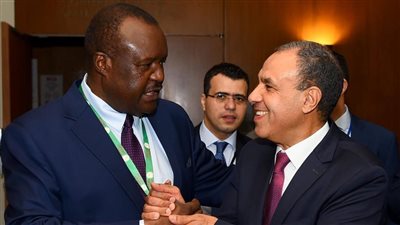 عبد العاطي يشيد بالدور الأفريقي في دعم قضايا القارة