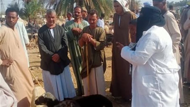 الخدمات البيطرية