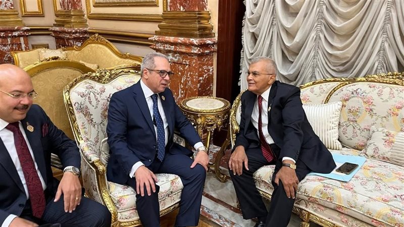 النائب أحمد حلمي