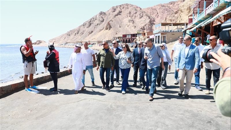 البيئة