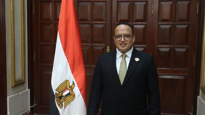 النائب أحمد الفأر