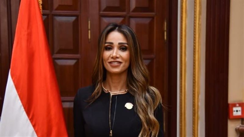 النائبة انجى ماهر