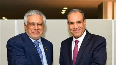 مصر وباكستان يتفقان على مواصلة التعاون في مختلف المجالات