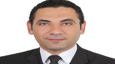 محمد فؤاد: الاعترافات الدولية بفلسطين دليل على نجاح الدبلوماسية المصرية 