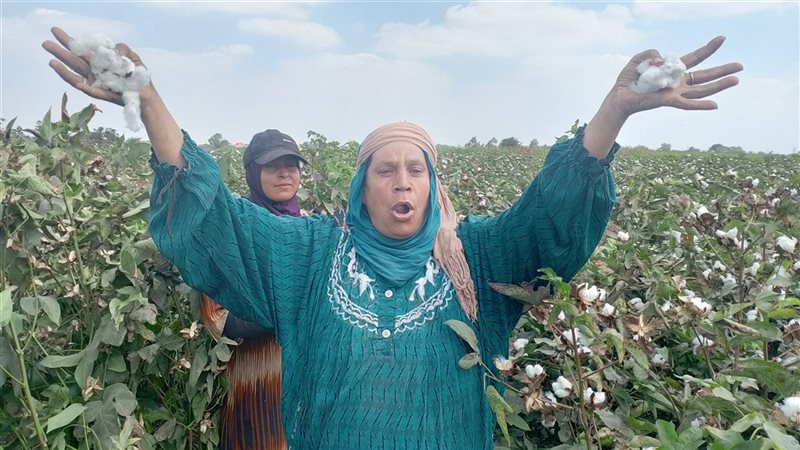 المواطنة