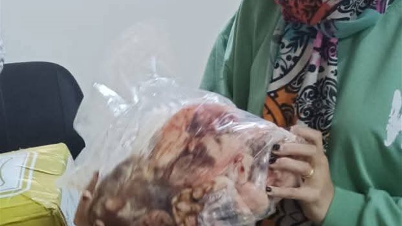 أرشيفية