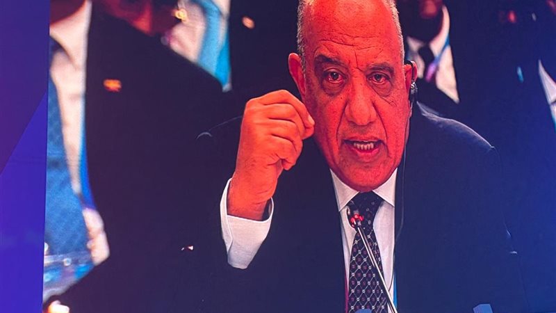 وزير الكهرباء
