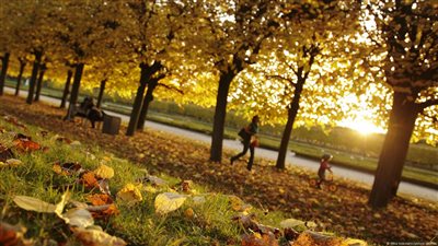 أجواء خريفية مائلة للبرودة.. الأرصاد تنصح بتغيير نوعية الملابس 