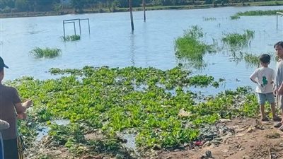  زيادة مساحة غرق أراضي طرح النهر بقري فى محافظة المنوفية إلى 687 فدان