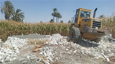 محافظ أسيوط: إزالة 53 حالة تعدي واسترداد أكثر من 60 فدانًا و3 آلاف متر مربع  