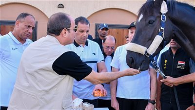 لمسة إنسانية.. الرئيس السيسي يطعم الخيل بيده داخل الأكاديمية العسكرية