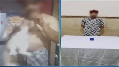 ضبط شخص بالإسماعيلية ظهر عاري الصدر وادعى علاج مرض السكري باستخدام الحيوانات
