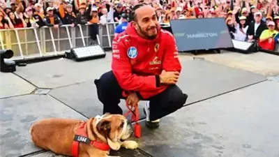 هاميلتون ينسحب من 