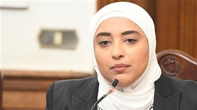 أميرة أبو شقة للحكومة: الشعب المصري يستحق الاحترام والتعامل باحترافية 