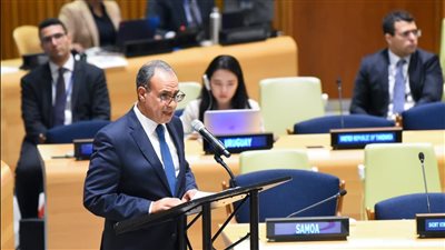 وزير الخارجية يحذر من استمرار وجود السلاح النووي في ظل التهديد الإسرائيلي