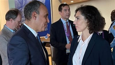 وزير الخارجية يلتقى مع المفوضة الأوروبية لإدارة الأزمات